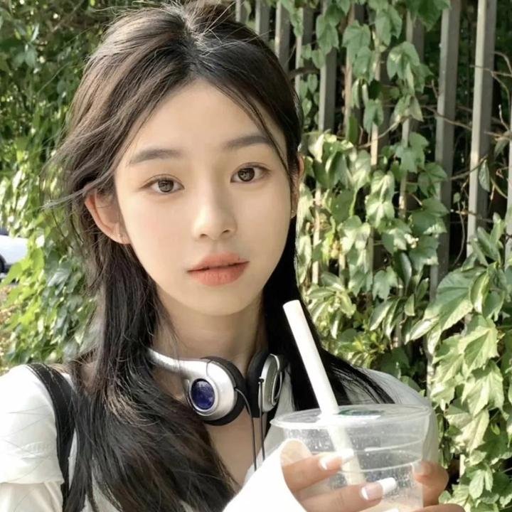猫头鹰与小飞象